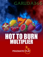 Hot To Burn Multiplier