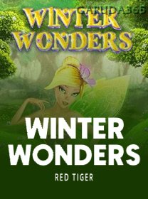 Winter Wonders
